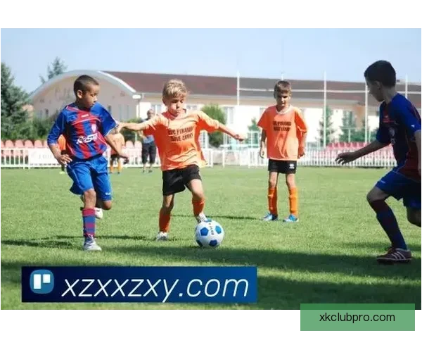 星空体育登录平台全新升级体验尽享高清赛事直播服务 星空体育登录平台全新升级体验尽享高清赛事直播服务